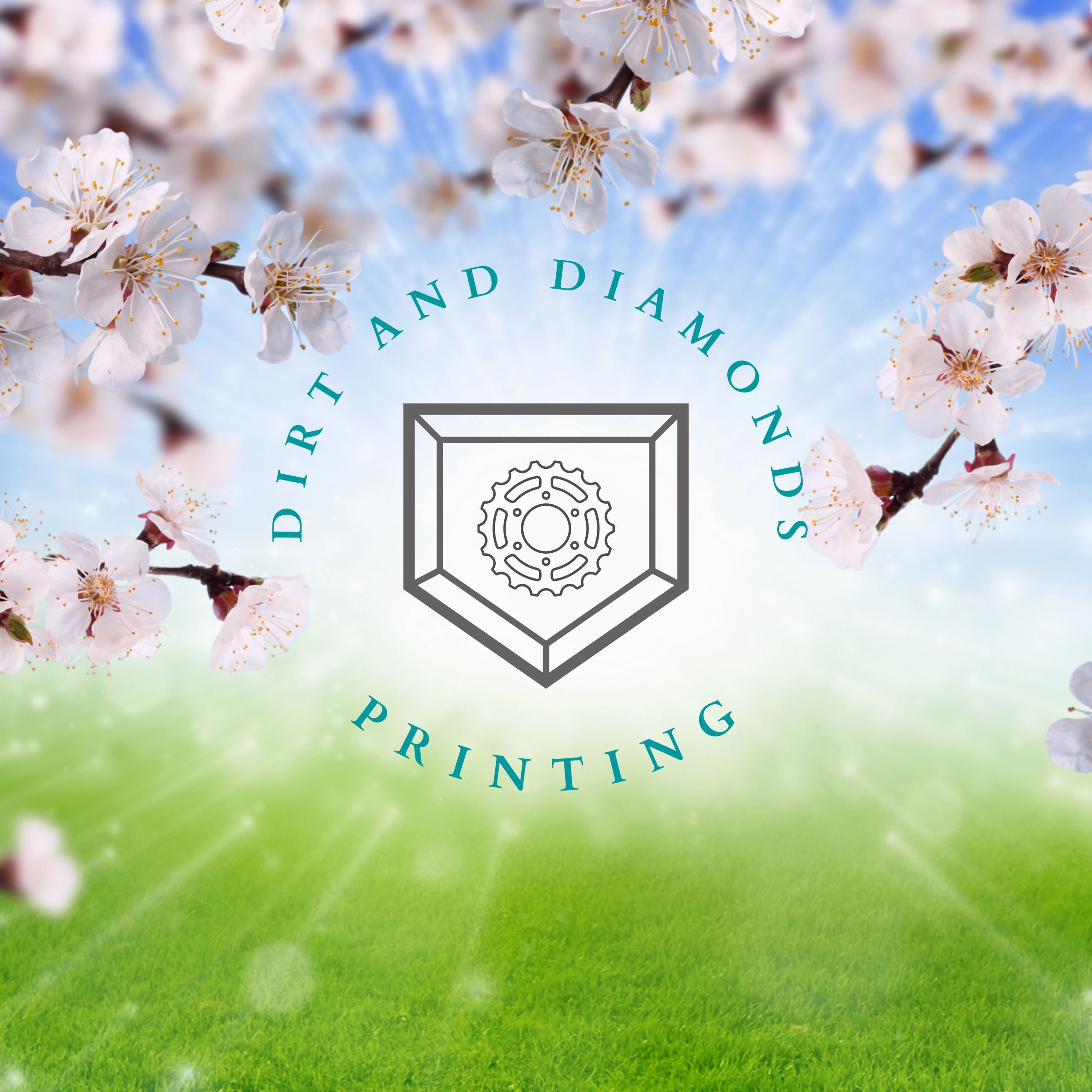 Dirt and Diamonds Printing